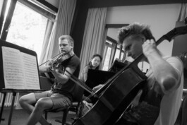 Niklas Grüter - Visual Works