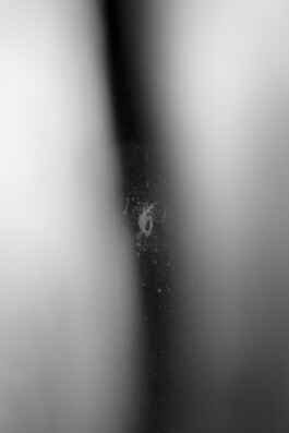 Niklas Grüter - Visual Works